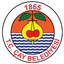 Çay Belediyesi