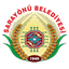 Sarayönü Belediyesi