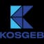 Küçük ve Orta Ölçekli İşletmeleri Geliştirme ve Destekleme İdaresi Başkanlığı (KOSGEB)